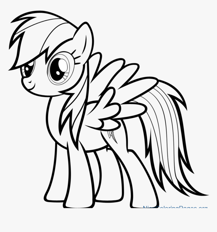 Rainbow Dash Photo Drawing, HD Png Download