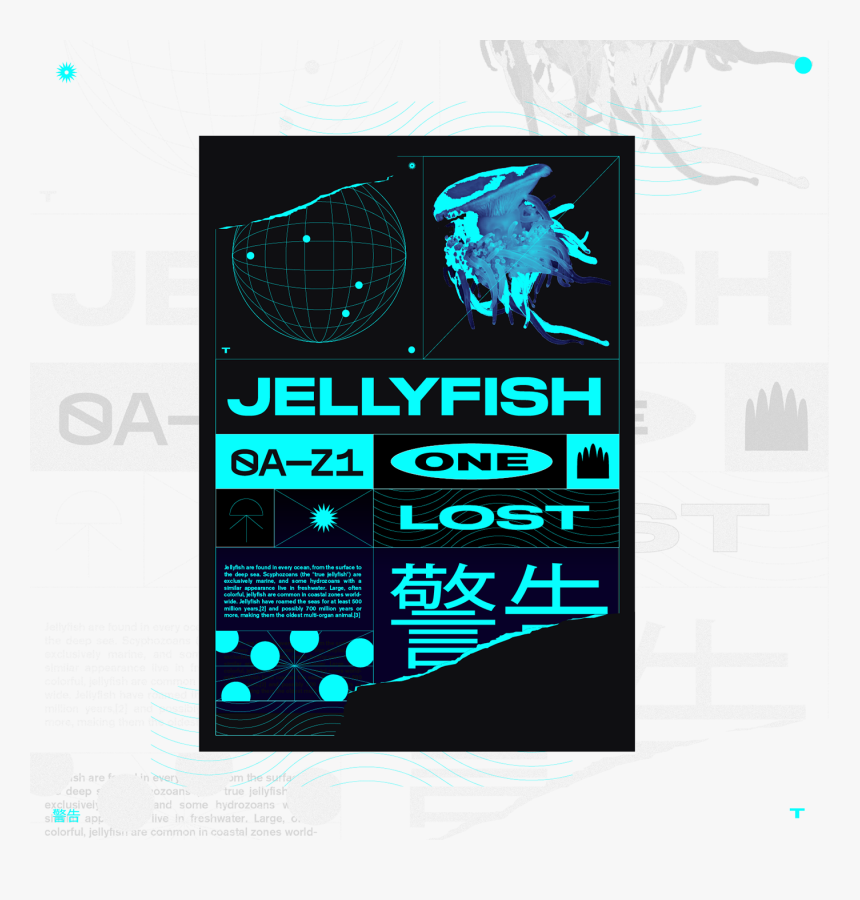 Jelly Fish Png, Transparent Png