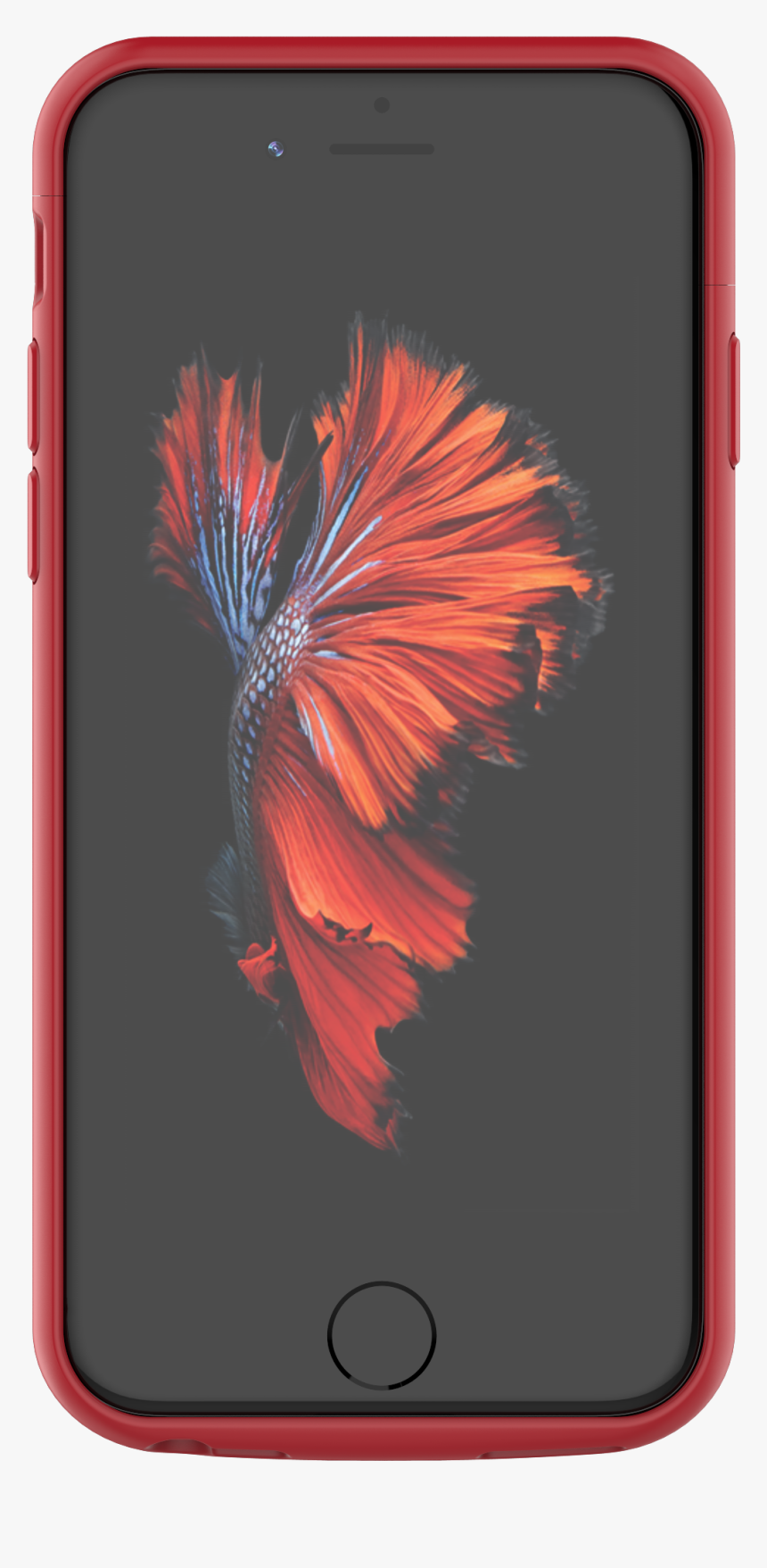 Iphone Charger Png, Transparent Png