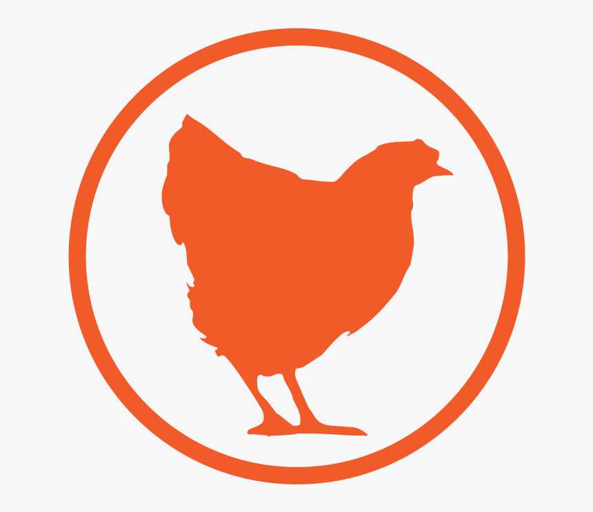Picture, HD Png Download
