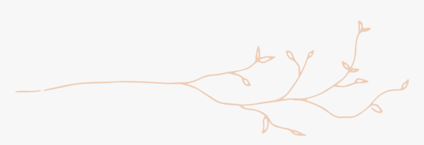 Pink Graphic Bottom, HD Png Download