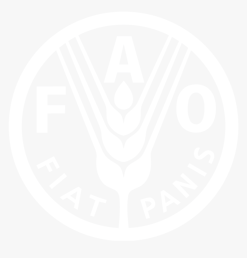 2000px Fao Logo Reverse, HD Png Download