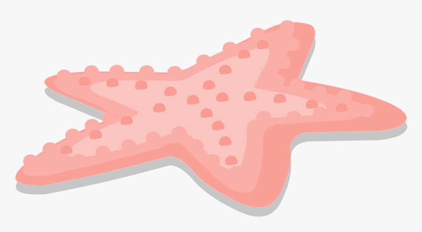 Estrella De Mar Png, Transparent Png