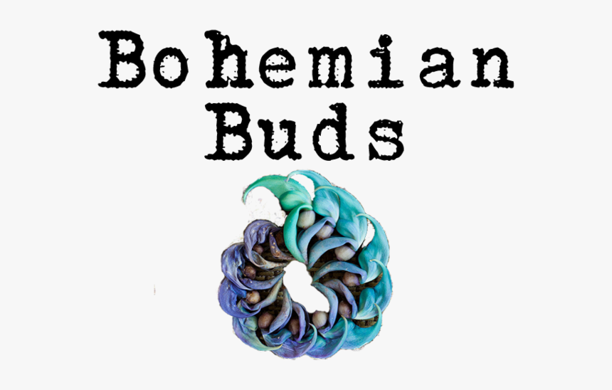 Bohemian Png, Transparent Png