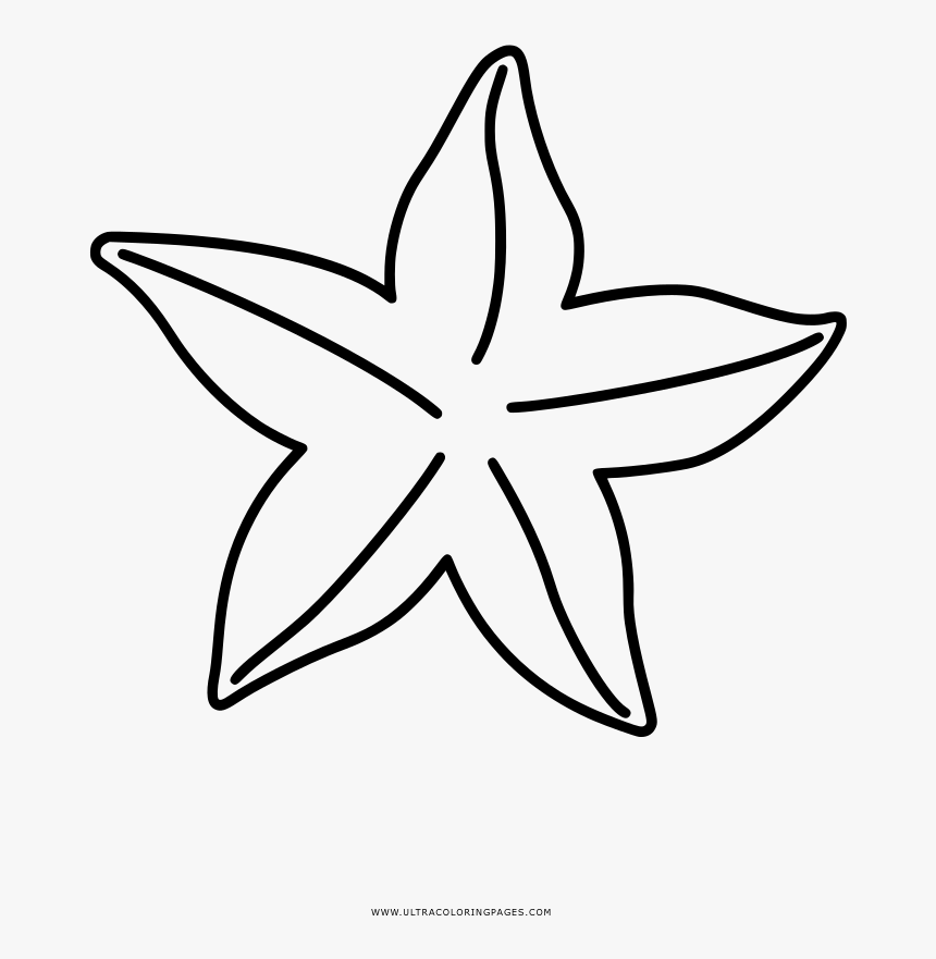 Stock Art Drawing of a Red-Knobbed Starfish