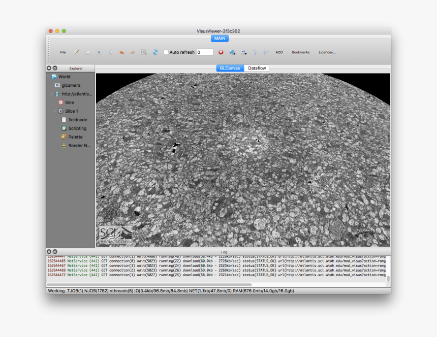 Slice Png, Transparent Png