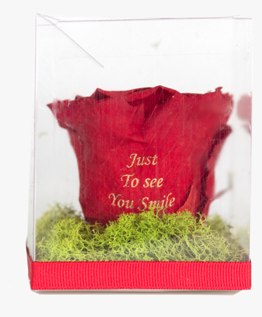 6 Classic Rose Head, HD Png Download