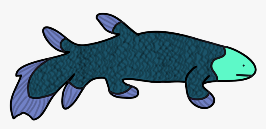 Amateurish Coelacanth, HD Png Download