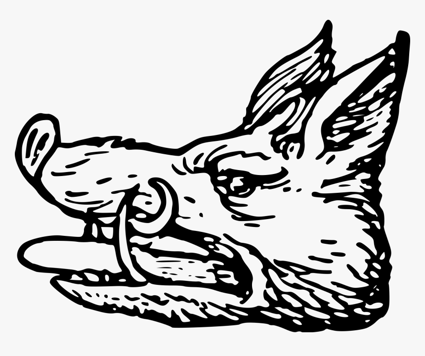 Boar Png, Transparent Png