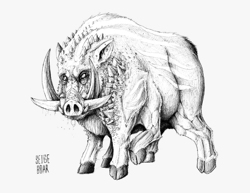 Seigeboar, HD Png Download