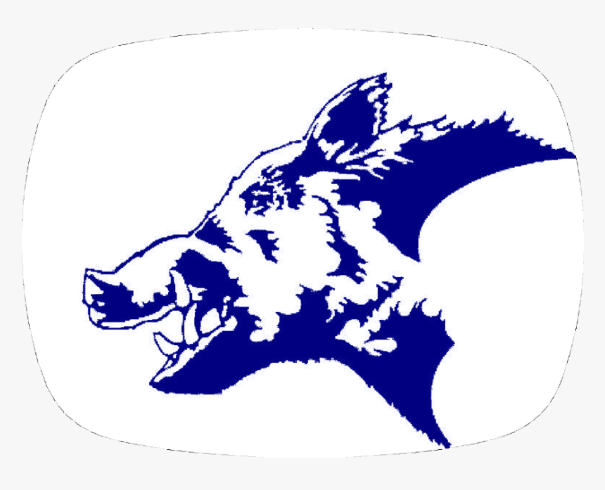 Boar Png, Transparent Png