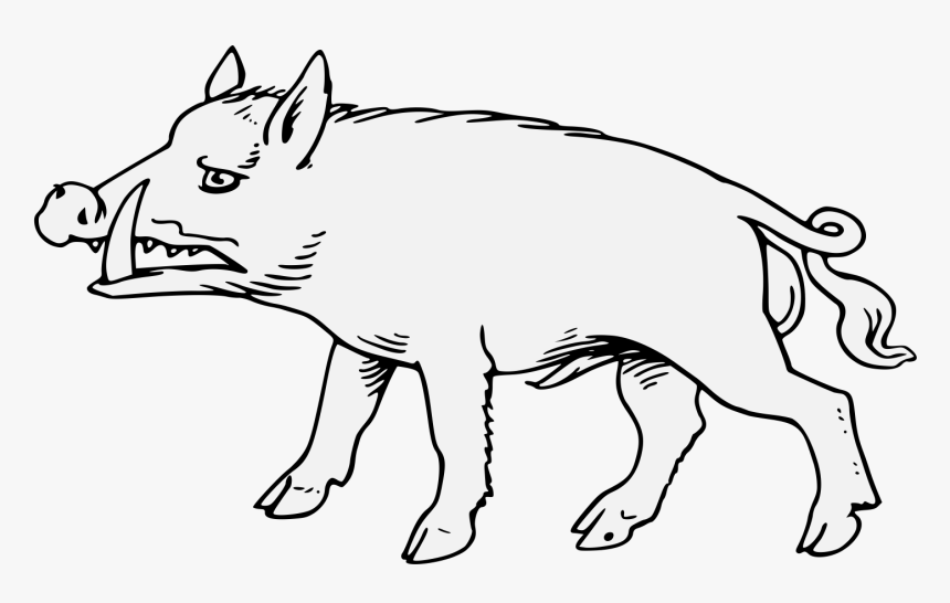 Boar Png, Transparent Png