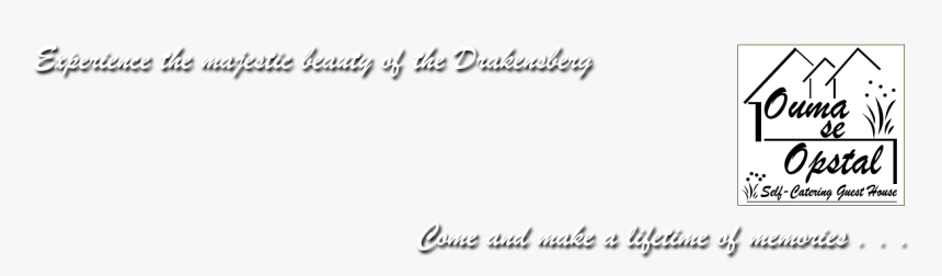 Sal Png, Transparent Png