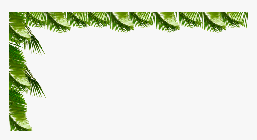 Palmas Png, Transparent Png