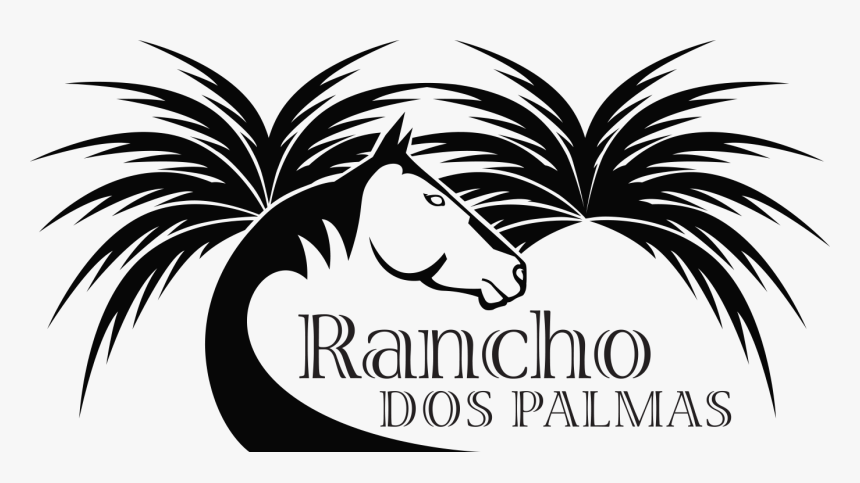 Palmas Png, Transparent Png