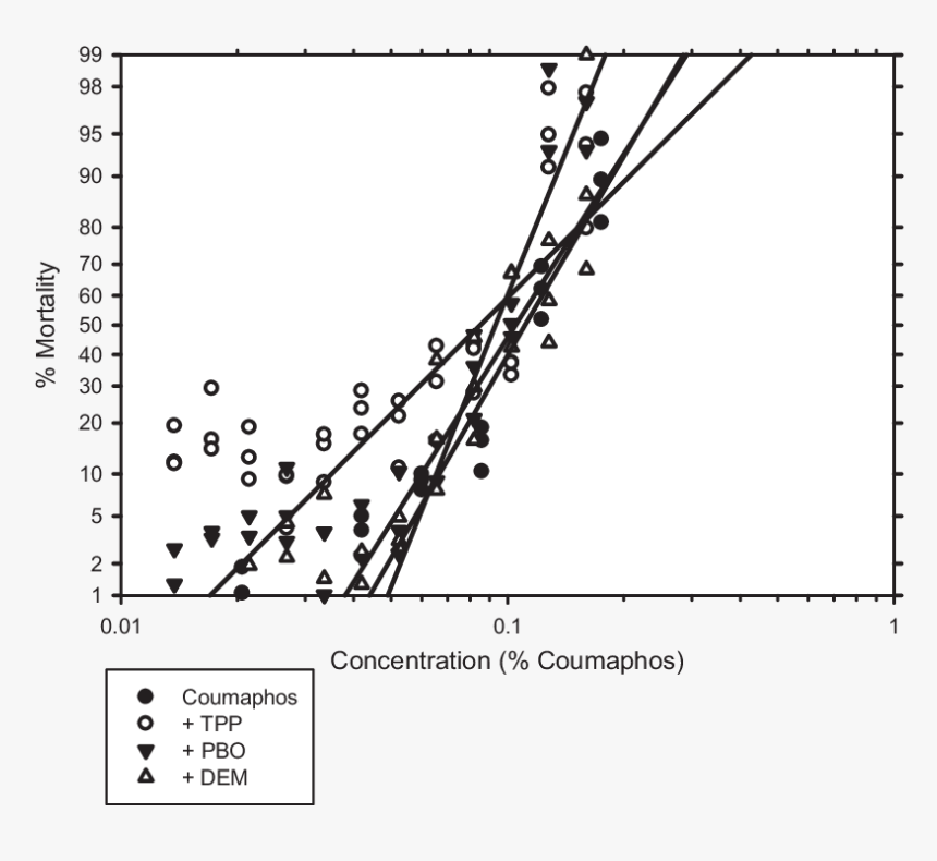 Palmas Png, Transparent Png