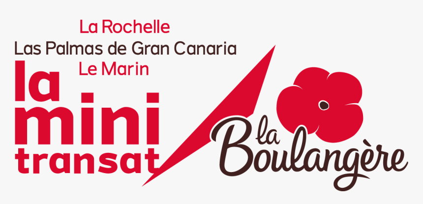 Palmas Png, Transparent Png