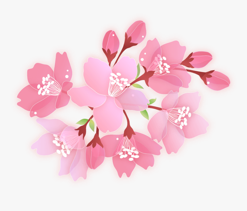 Cherry Blossom Petal Png, Transparent Png