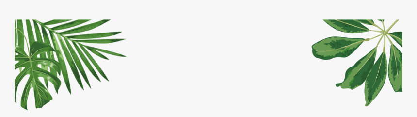 Transparent Grunge Filter Png, Png Download