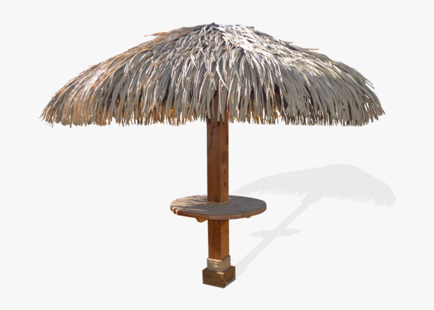 Palmas Png, Transparent Png