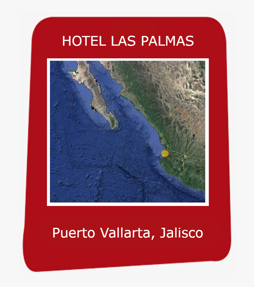 Palmas Png, Transparent Png