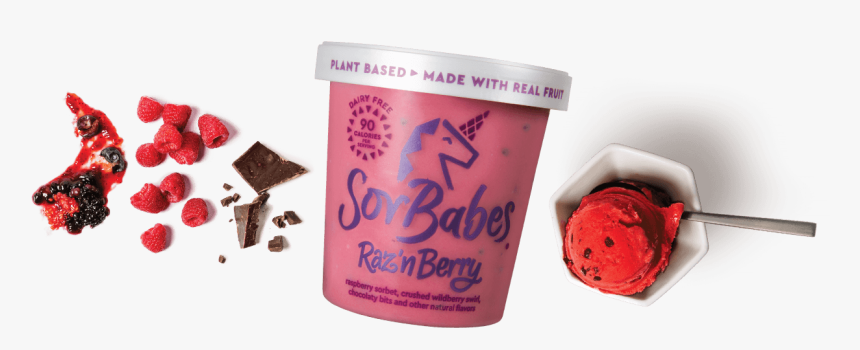 N Berry Inclusions, Pint, And Scoop, HD Png Download