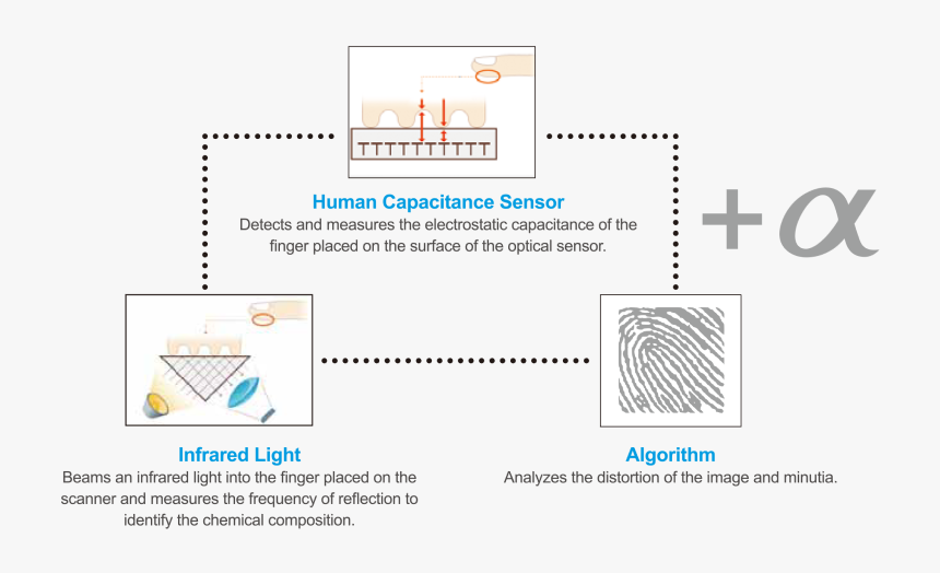Fake Barcode Png, Transparent Png