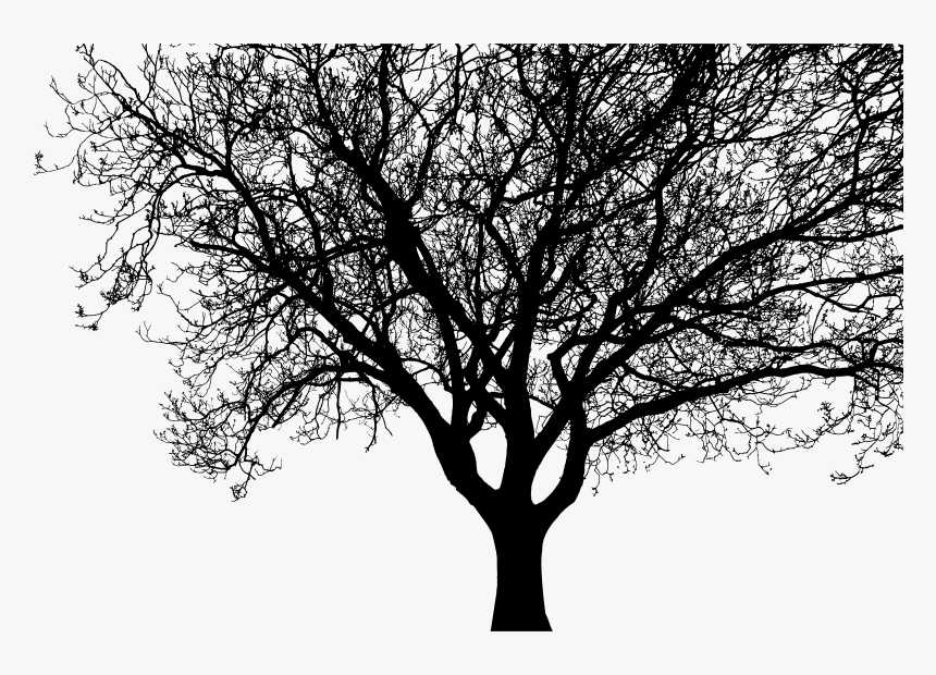 Detailed Tree Silhouette Clip Arts, HD Png Download