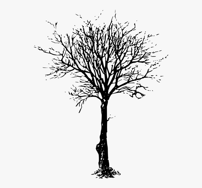 How To Draw A Dead Tree, HD Png Download
