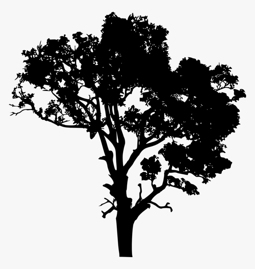 Download Free Png Tree Silhouette, Transparent Png
