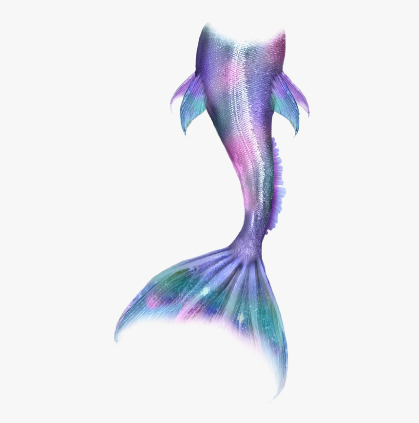 Mermaid Mermaidlife Mermaidtail Mermaids Merman Tail, HD Png Download