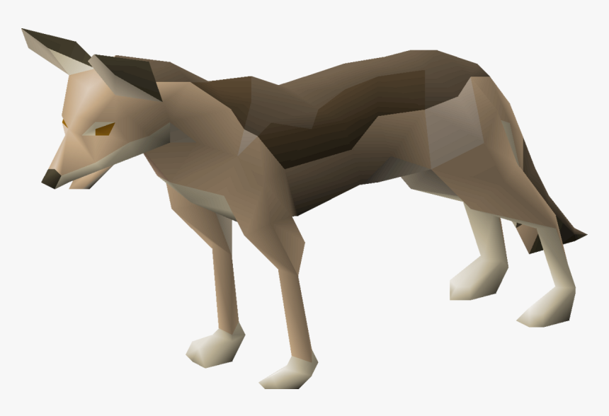 Jackal Png, Transparent Png