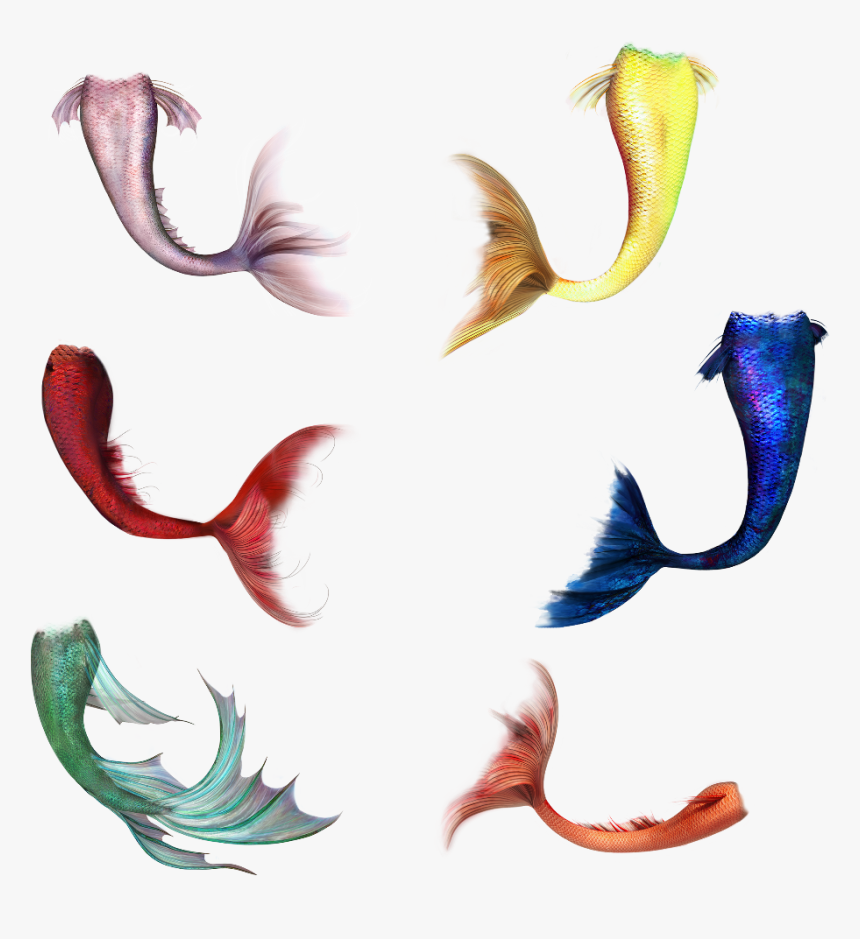 Red Mermaid Tail Png Clipart , Png Download, Transparent Png