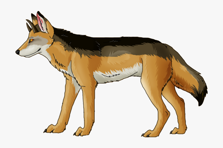 Jackal, Coyote Png, Download Png Image With Transparent, Png Download