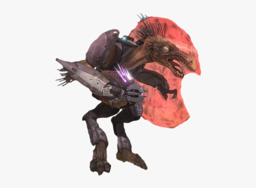 Jackal Png, Transparent Png
