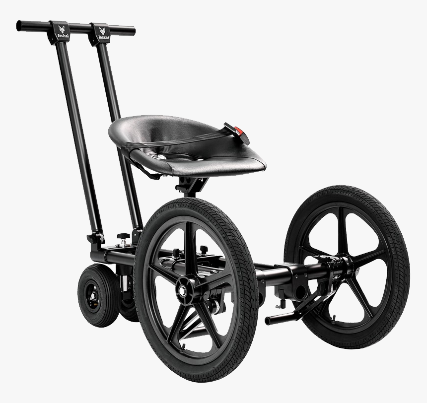 Jackal Png, Transparent Png