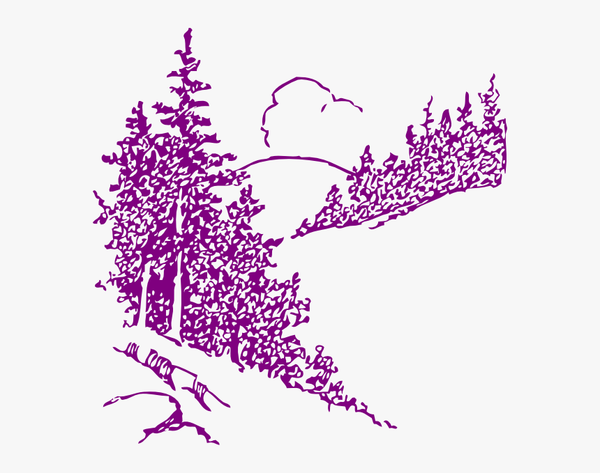 Pine Tree Vector Png, Transparent Png