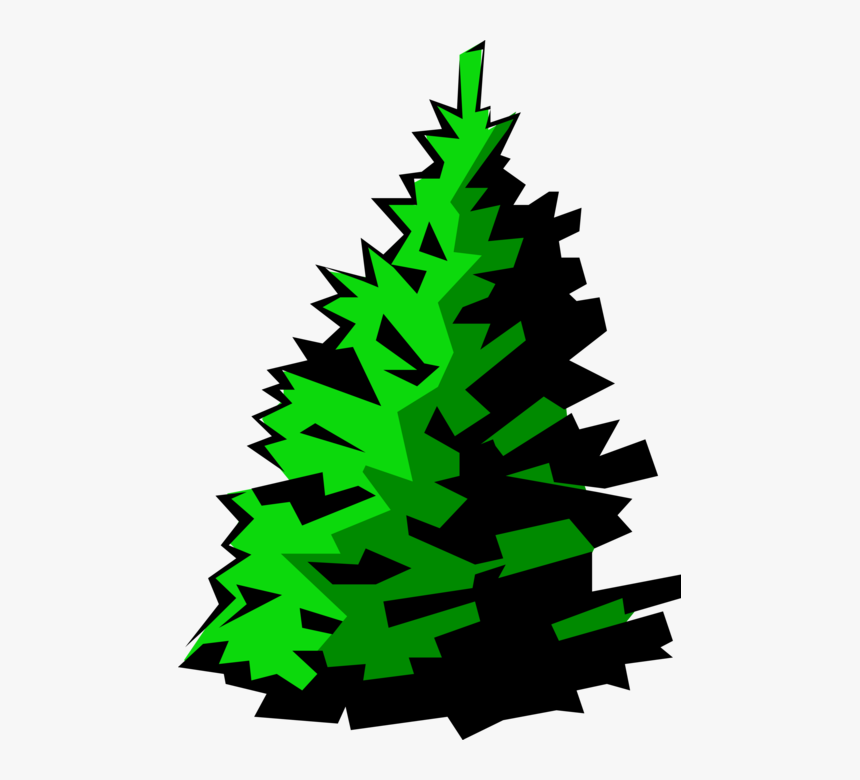 Healthy Fir Image Illustration, HD Png Download