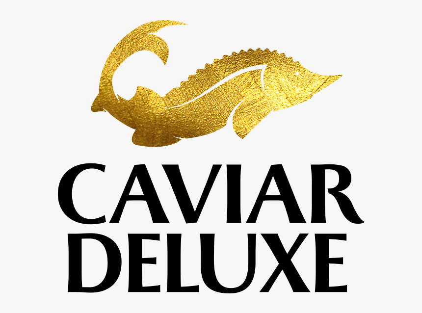 Clip Art Deluxe Premium Sturgeon, HD Png Download