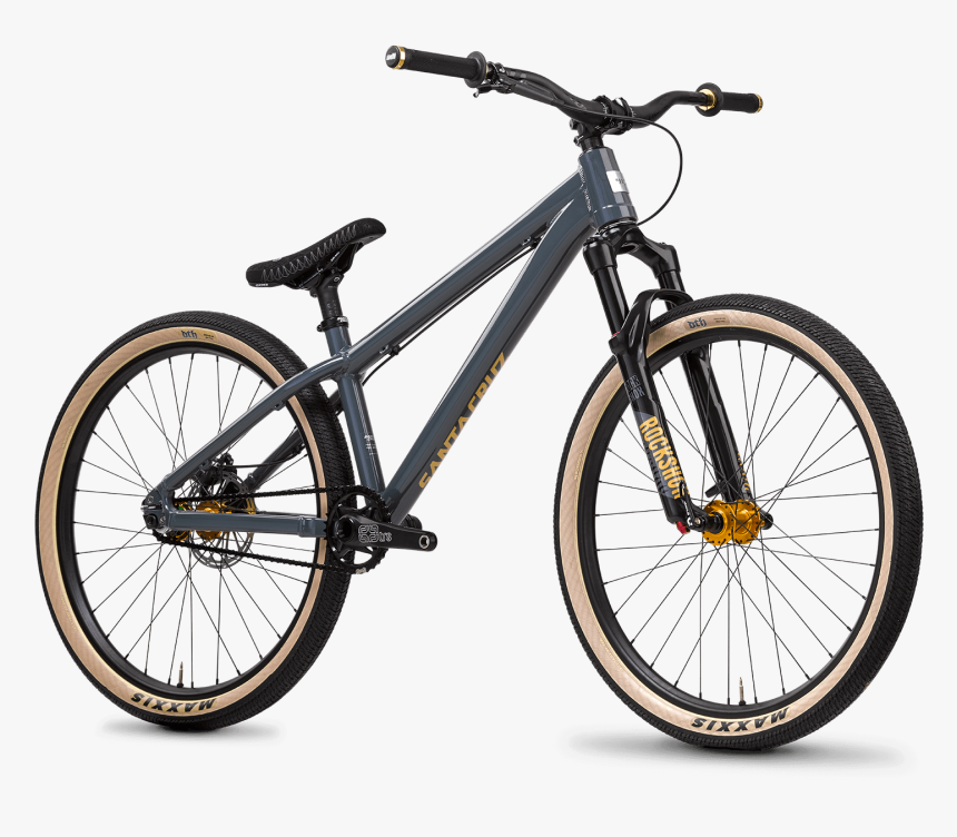 Jackal Png, Transparent Png