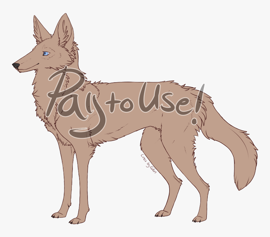 Black Backed Jackal, HD Png Download