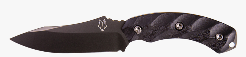 Jackal Png, Transparent Png