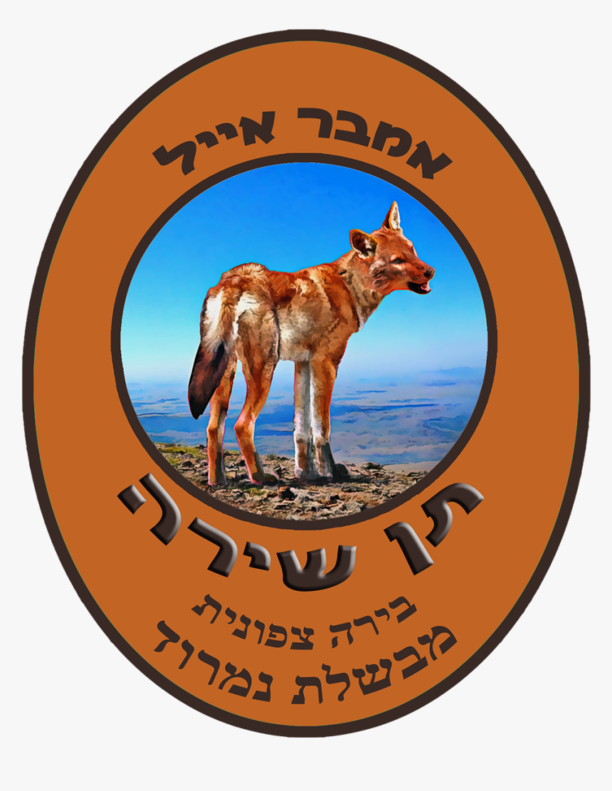 Jackal Png, Transparent Png