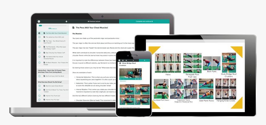 Muscular Arm Png -the Best Part About The Arm Burner, Transparent Png