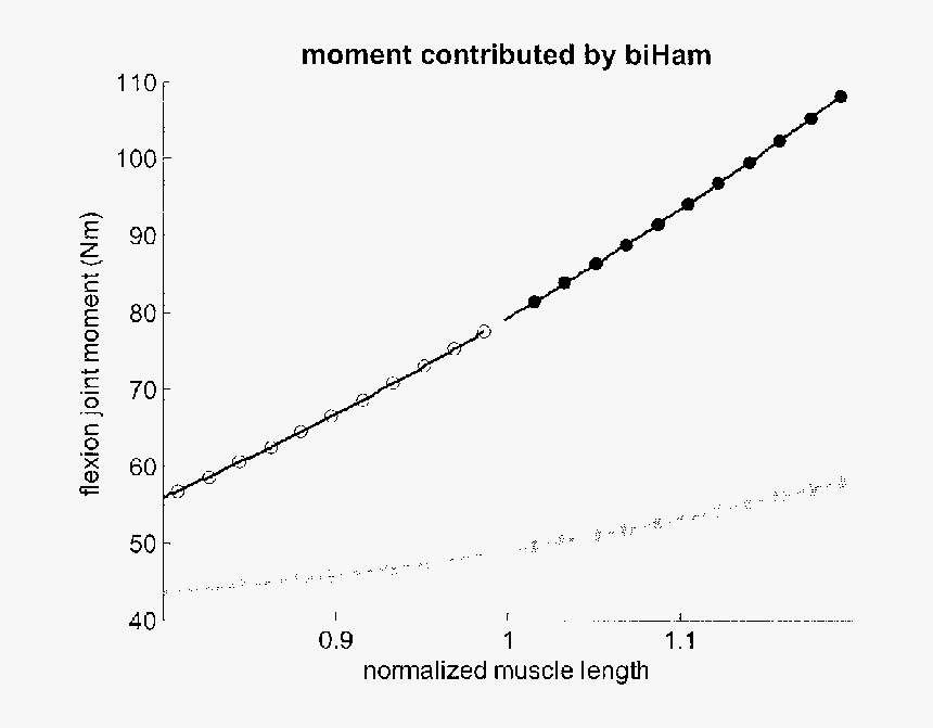Flexing Arm Png, Transparent Png