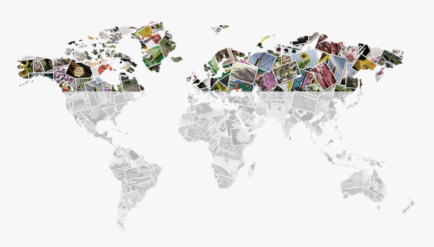 Thumbs Up .png, Transparent Png