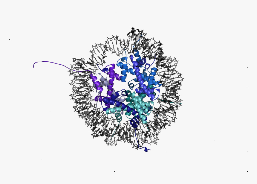 Transparent Webpage Png, Png Download