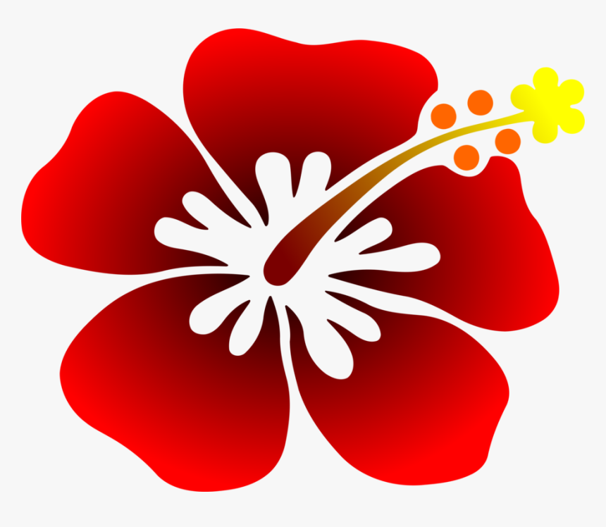 Hibiscus,plant,flora, HD Png Download