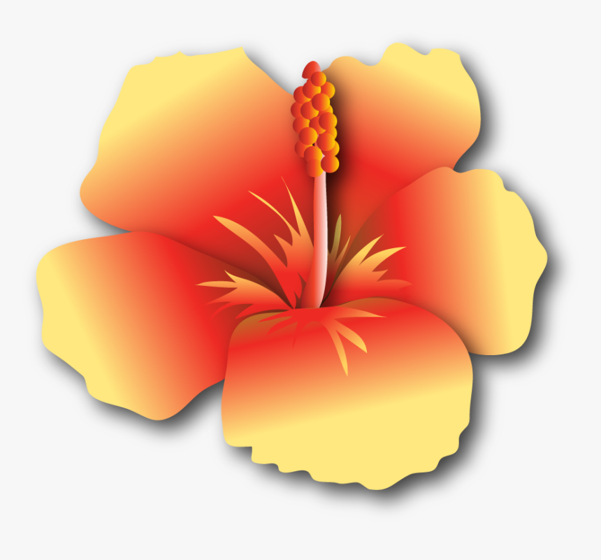 Hibiscus Yr $500, HD Png Download