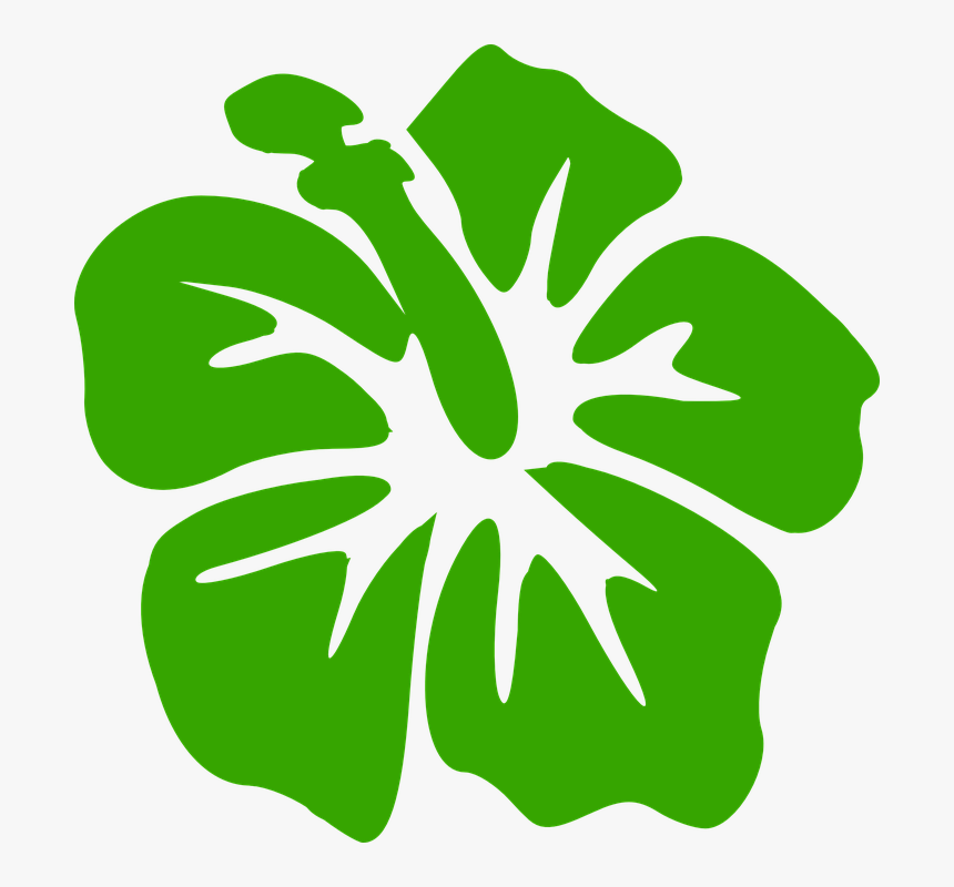 Hibiscus Clipart Green, HD Png Download